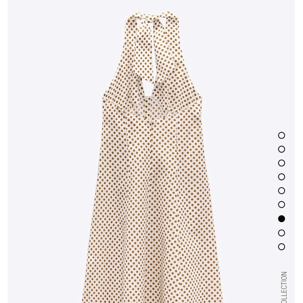 Zara polka dot dress bloggers fav - Picture 13 of 16